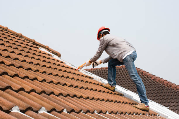 Best 4 Ply Roofing  in Mount Olive, IL